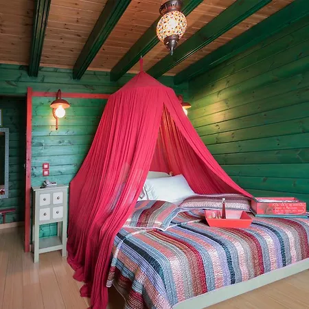 Colours' Guest house *