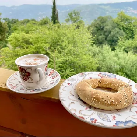 Colours' Synikia Mesi Trikalon