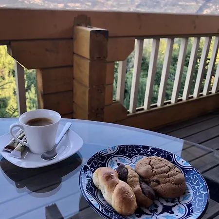 Colours' Synikia Mesi Trikalon