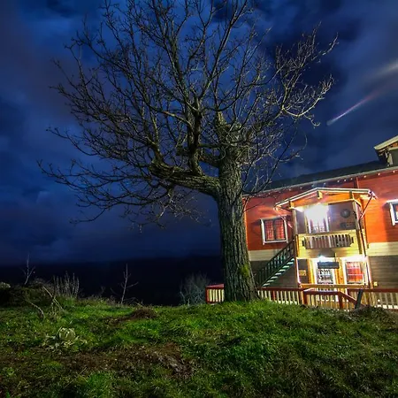 Guest house Colours' *