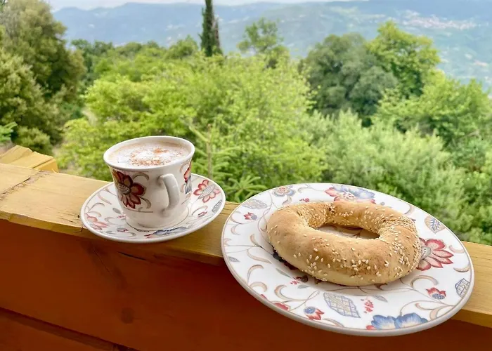 Colours' Synikia Mesi Trikalon