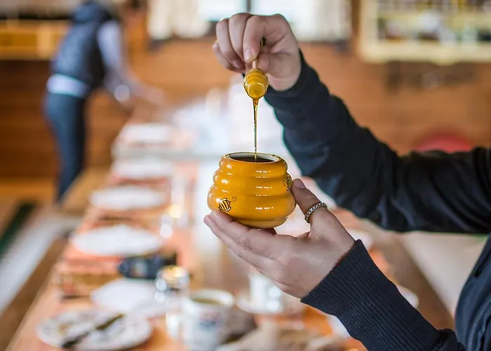 Colours' Casa de hóspedes