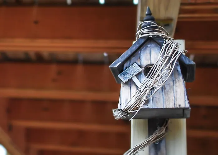 Casa de hóspedes Colours' 3*